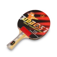 Ракетка для настольного тенниса DOBEST BR01 6 звезд
